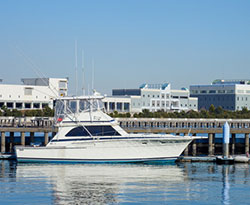 チャーター散骨